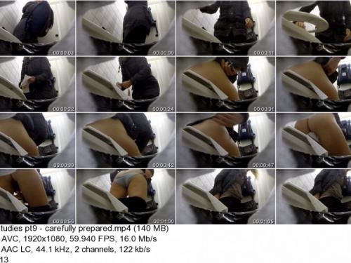 https://t25.pixhost.to/thumbs/195/87601037_1516803870_toilet-studies-pt9-carefully-prepared_mp4.jpg