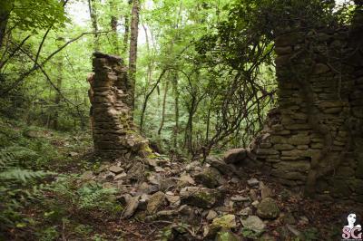 [Image: 86557356_11-06-hexe-hide-and-seek-01-image-5.jpg]